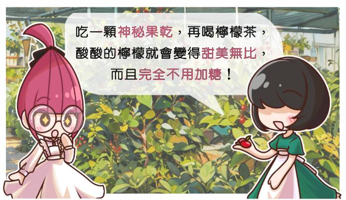無糖=痛苦?錯!這樣吃,幸福感更高!